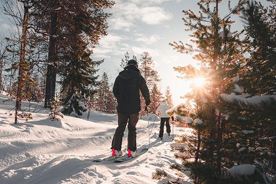 Photo show a mother and her small daughter skiing in a sunny forest.