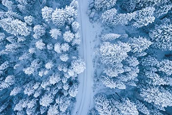 Photo shows snowy forest high from the air.