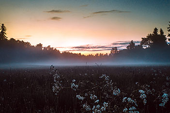 Photo shows mist floating over a summer night field.