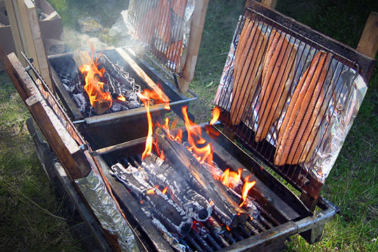 Photo shows salmon fillets blazed at living fires for Fish Festival visitors.
