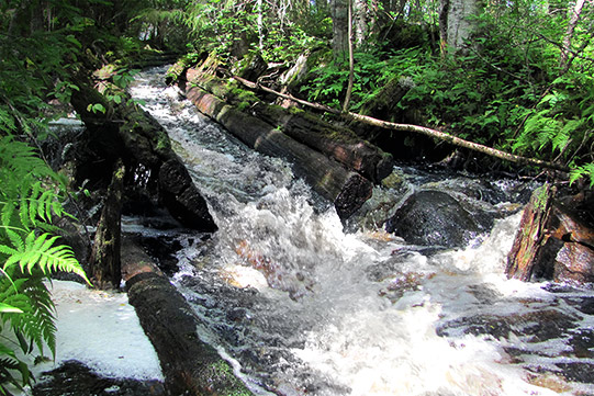 Photo shows remains of heritage structures made for wood rafting in a small stream.