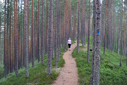 Photo shows a woman walking on a ridge of the Blue Path.
